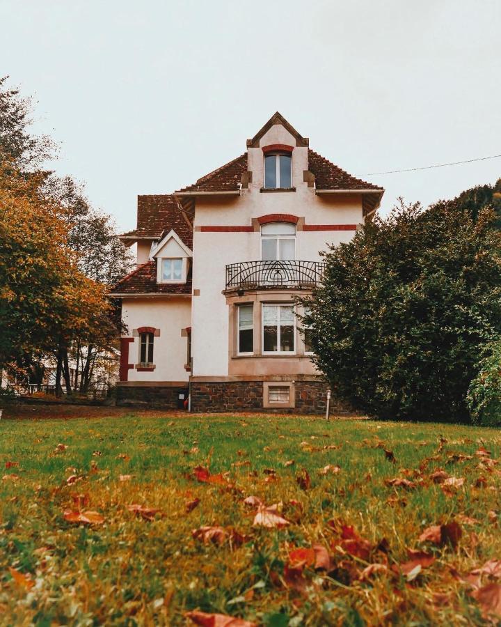 La Maison Du Markstein Linthal Dış mekan fotoğraf